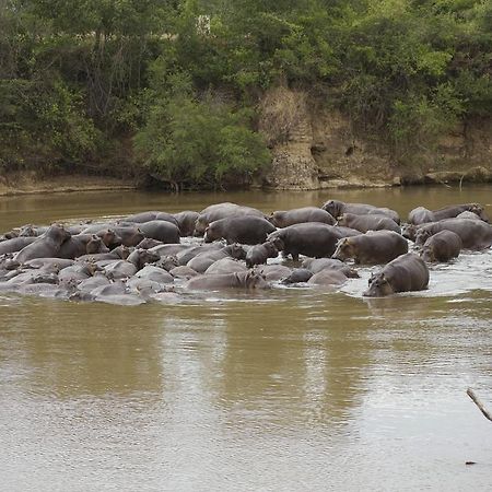 Ngerende Island Lodge (Adults Only) Maasai Mara Esterno foto